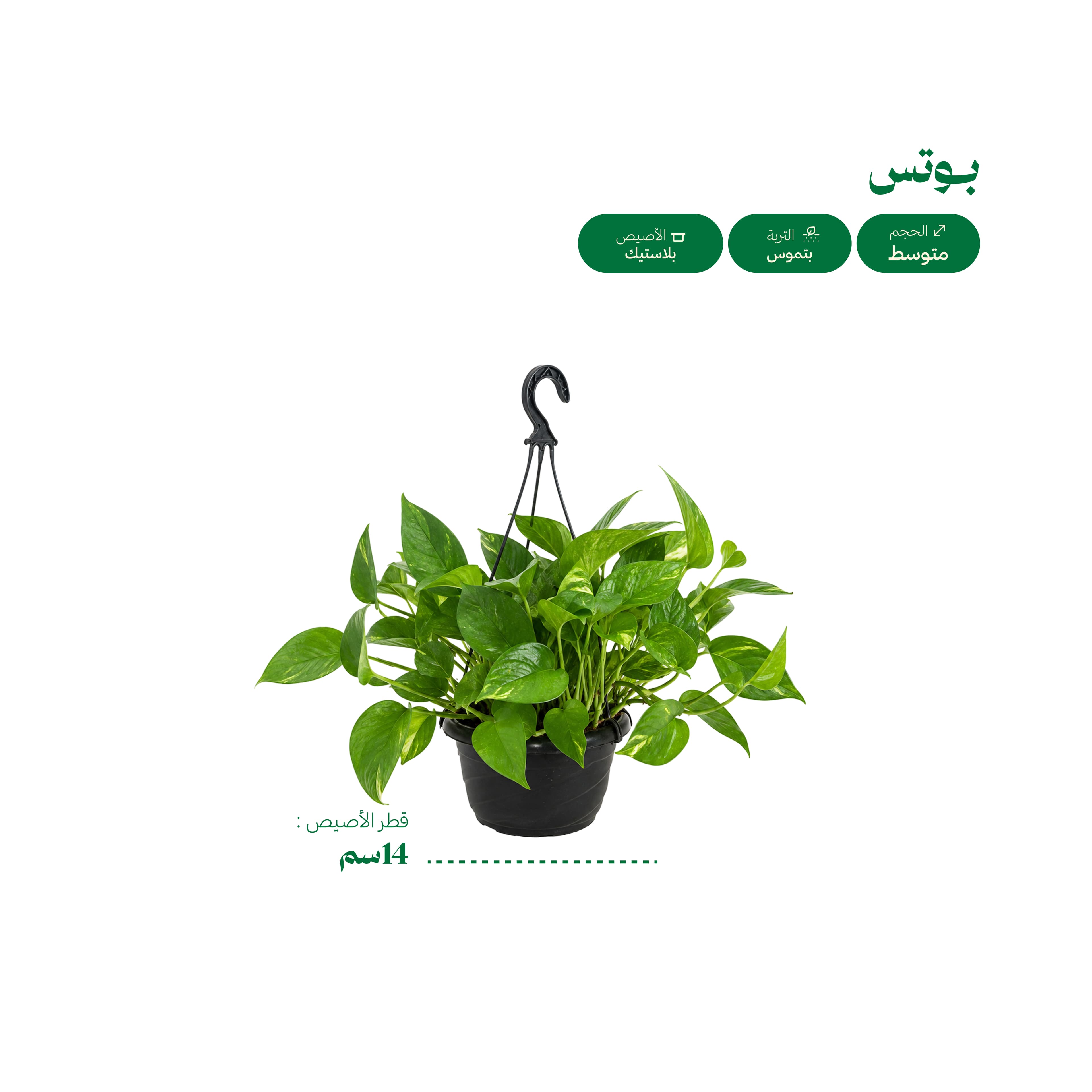 بوتس اصيص اسود