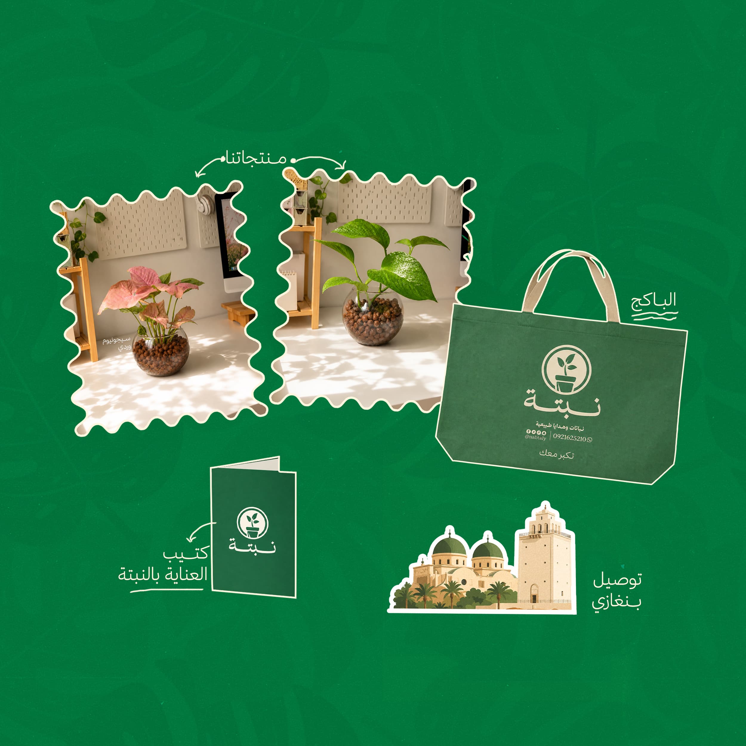 نباتات داخلية وهدايا طبيعية تضيف حياة لمساحتك.