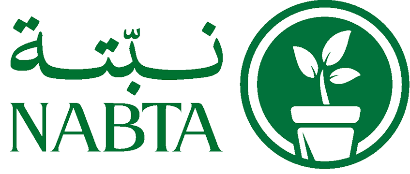 نبتة